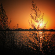 DSCN1945-01