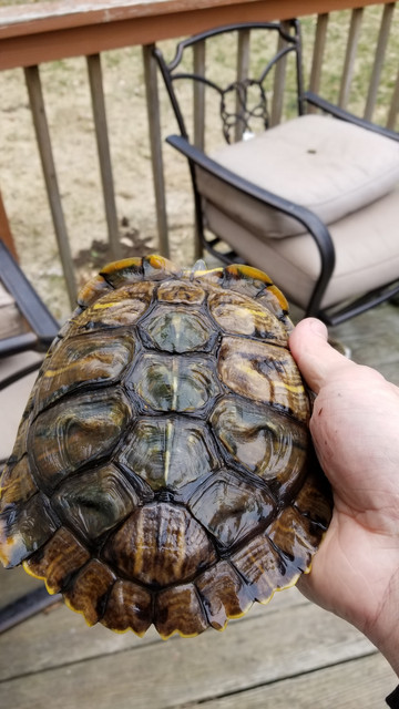 20180412 164952