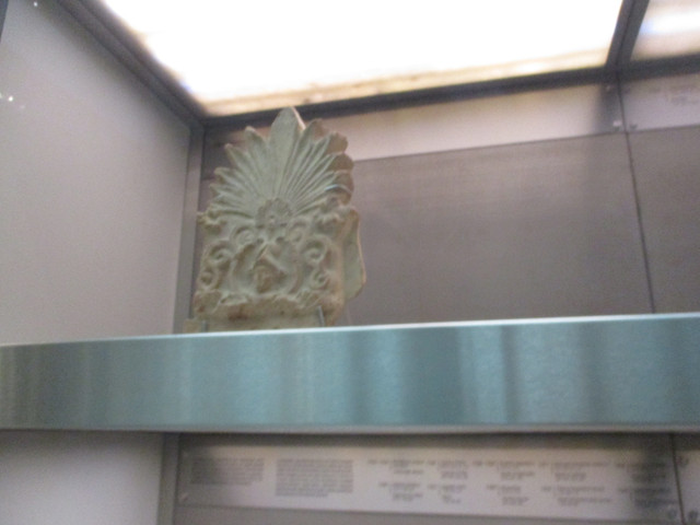 IMG-9894