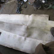 IMG-8527