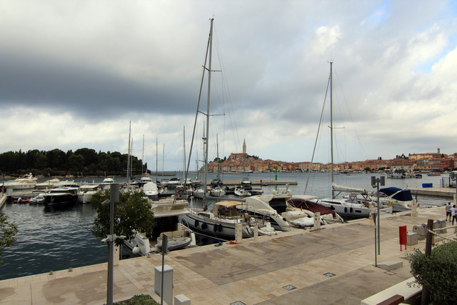 IMG-9517.jpg