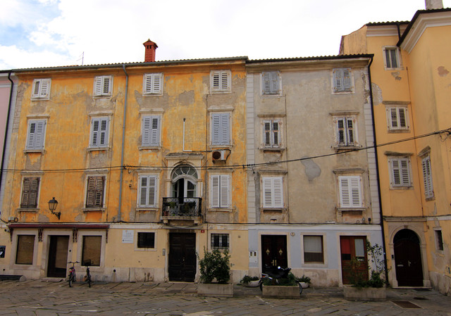 IMG-9817.jpg