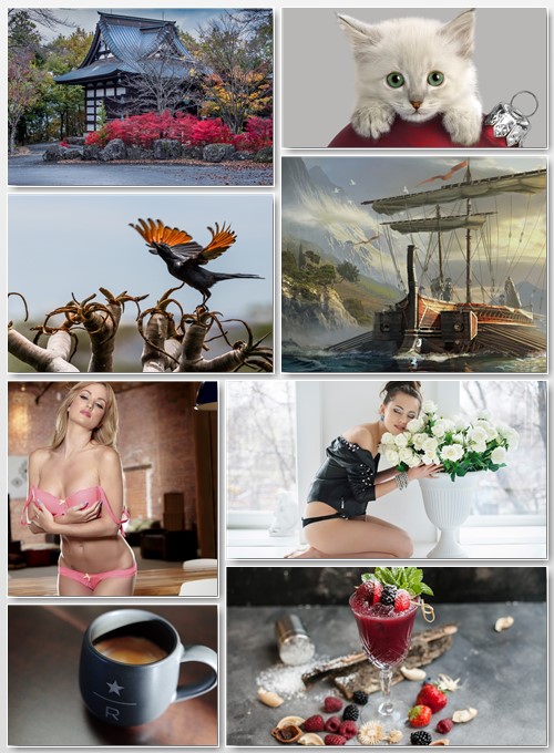 New Best Wallpapers Pack # 244