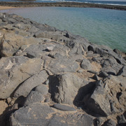 DSC01026