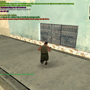 sa-mp-191