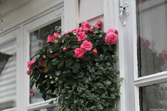 IMG-5436-edit.jpg