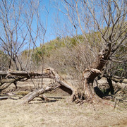 IMG-20230228-124417
