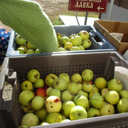 IMG-7004