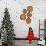 IMG-4651
