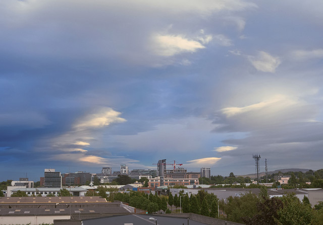 DSF0822-1.jpg