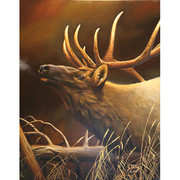 bugling-elk