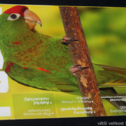 IMG-7749