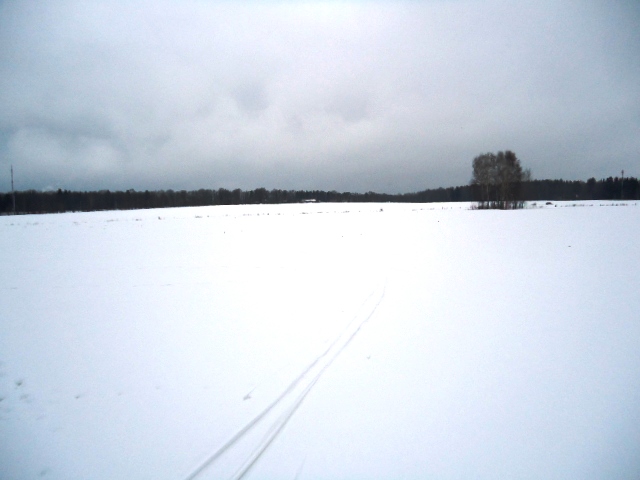 IPB Image