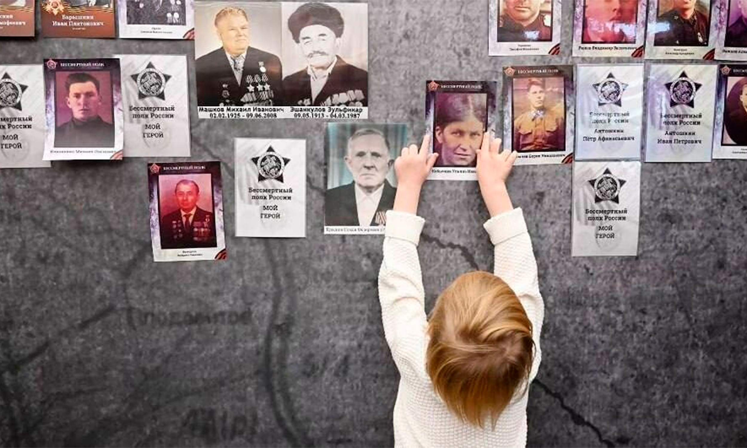 Изображения нет