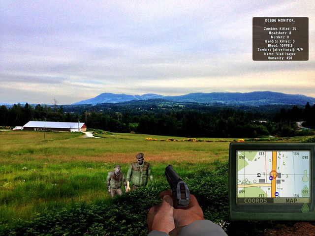 DayZ IRL