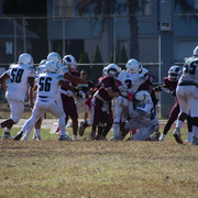 IMG-4817
