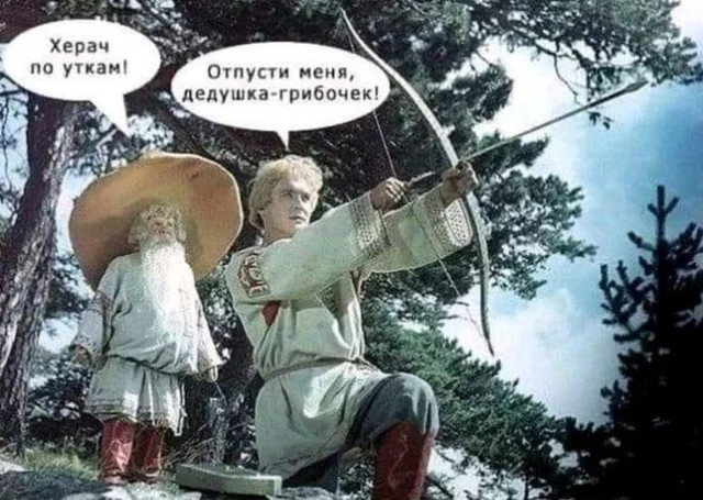 qa