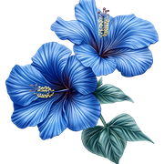 d1ac285230c19fc1fe72f4c217bd2cbe.png