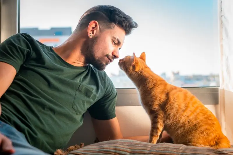 Vets Warn of Sweet Smell from Cats
