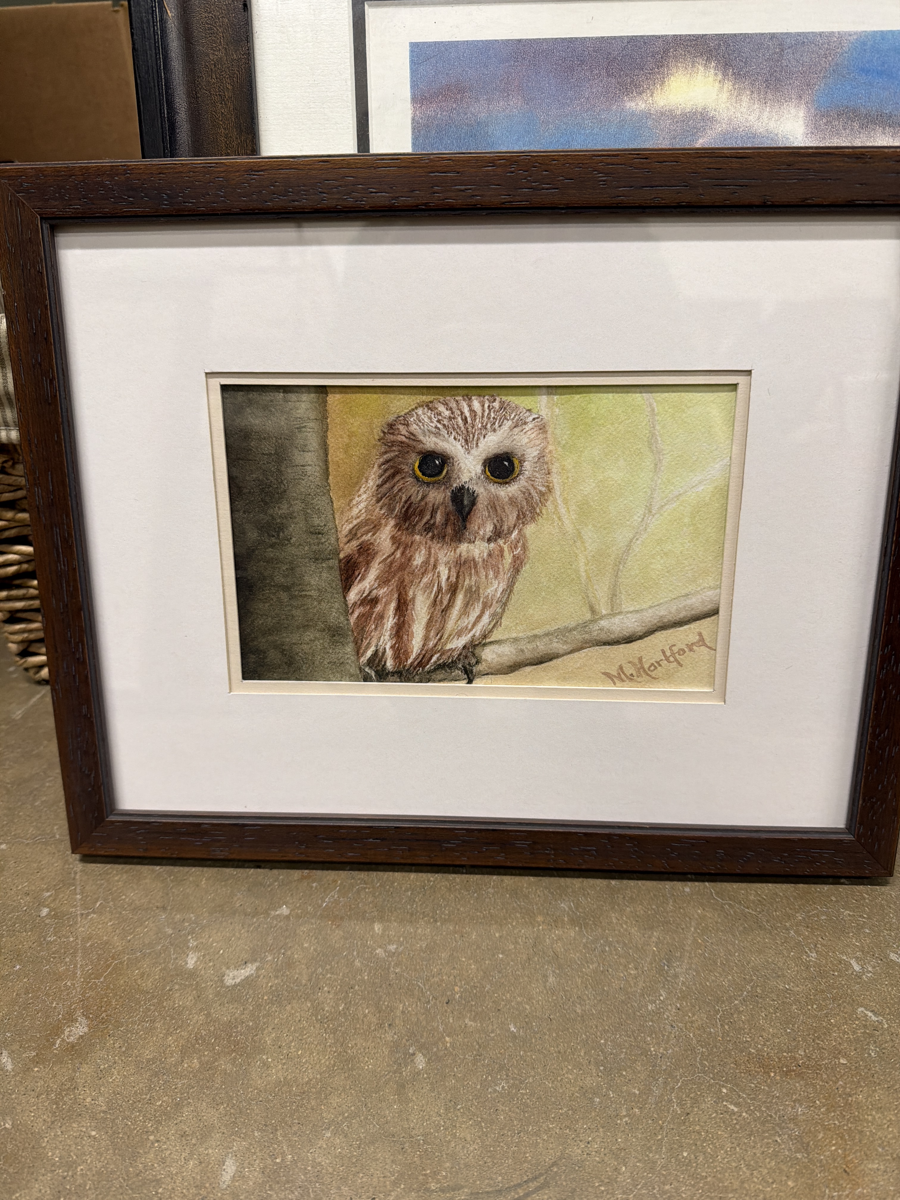 Owl Art