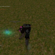 image 31