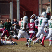 IMG-3229