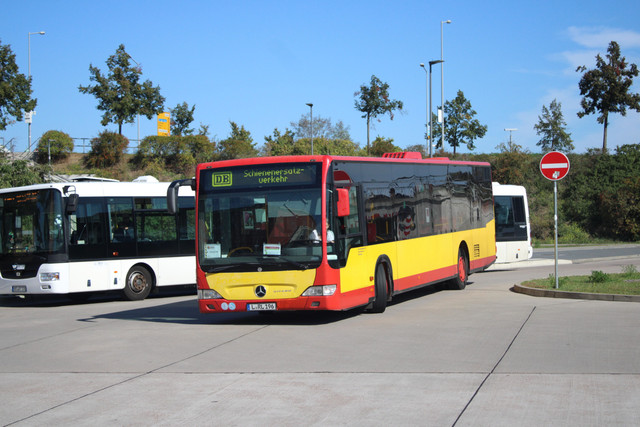 Strauch-33