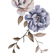 45 png