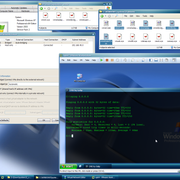 working-bridged-network.png