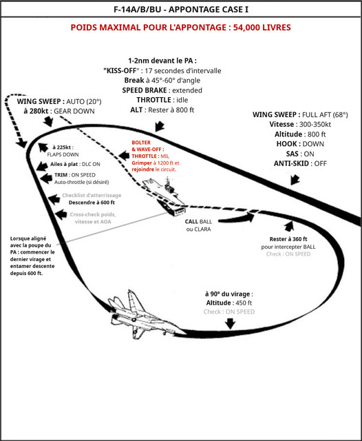 DCS F 14 CASE I.jpg