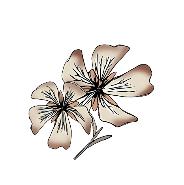 913e83d72053df79994b1790b357f23e.png