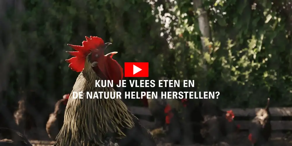 Het kan, goed vlees eten én de natuur herstellen - Koop vlees bij de boer - Vleeskopenbijdeboer.nl