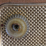 IMG-2785