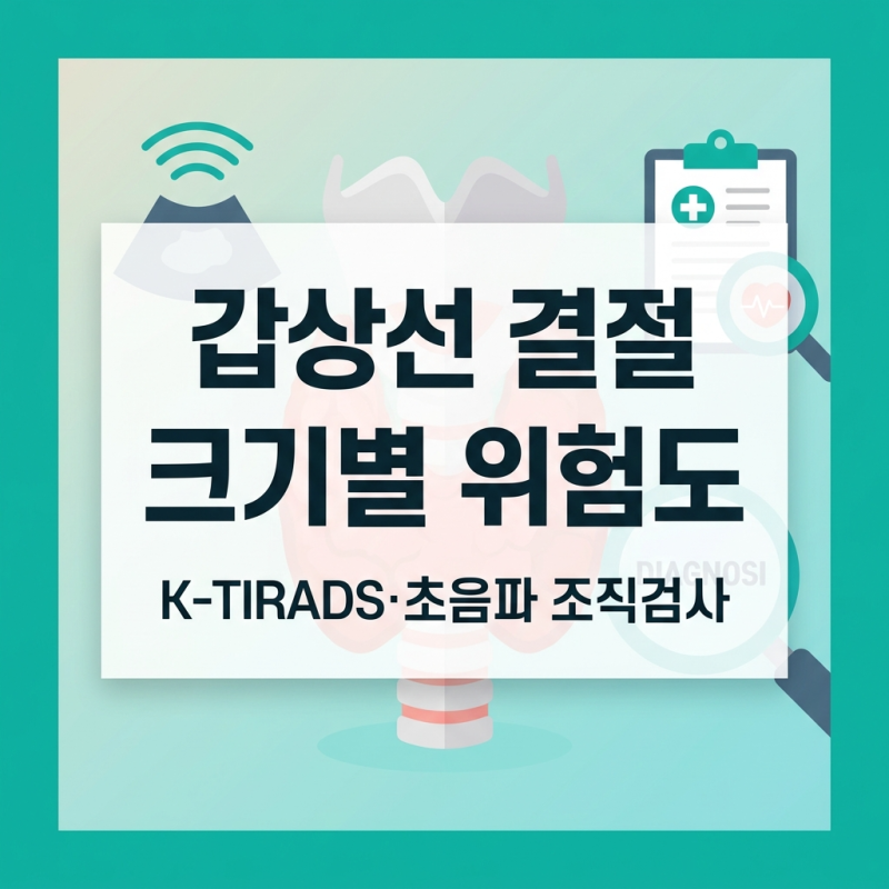 갑상선 결절 암일 확률과 크기