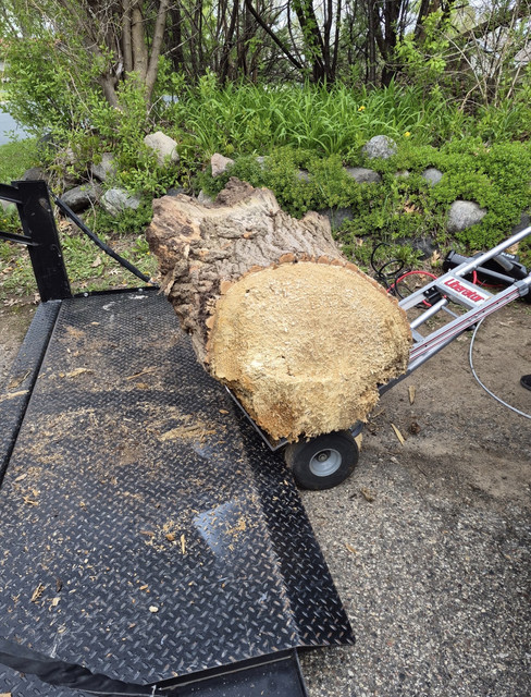 Junk removal job