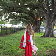 IMG 7706