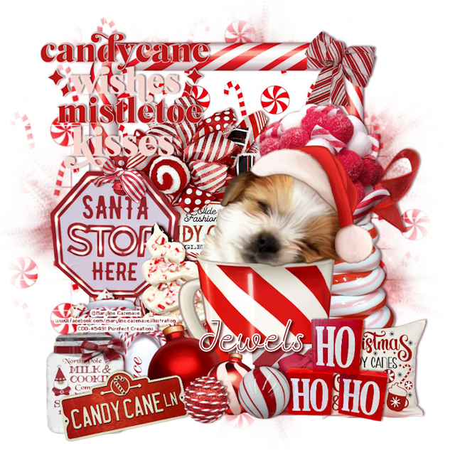 Candy-Cane-Wishes-Jewels.png