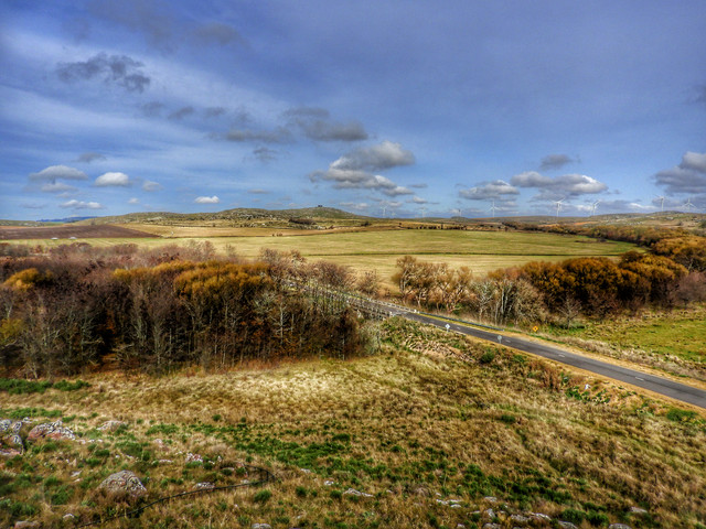 DSCN4940.jpg