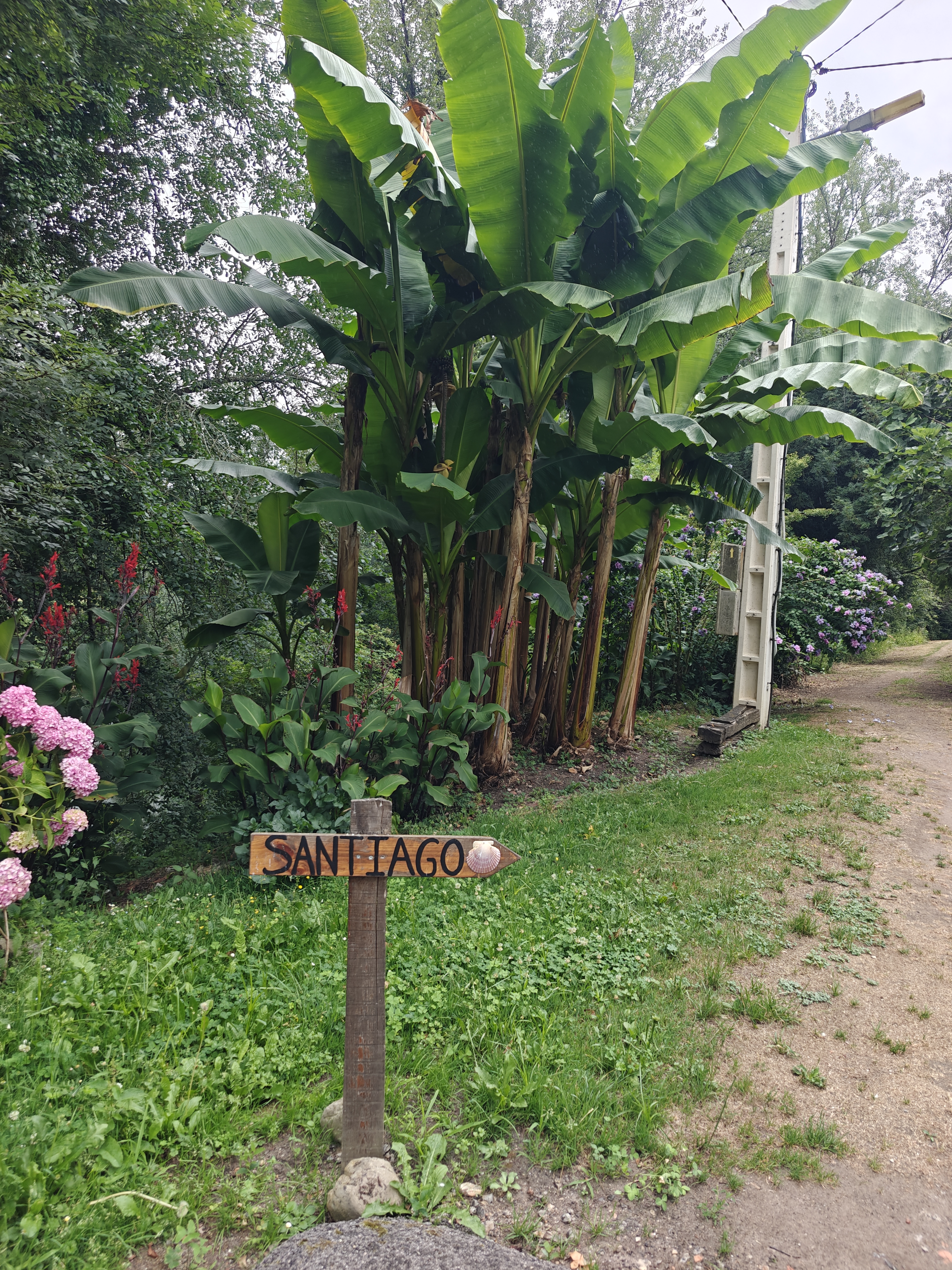 Dag 20 - Oviedo 🥏 San Juan de Villapañada 9