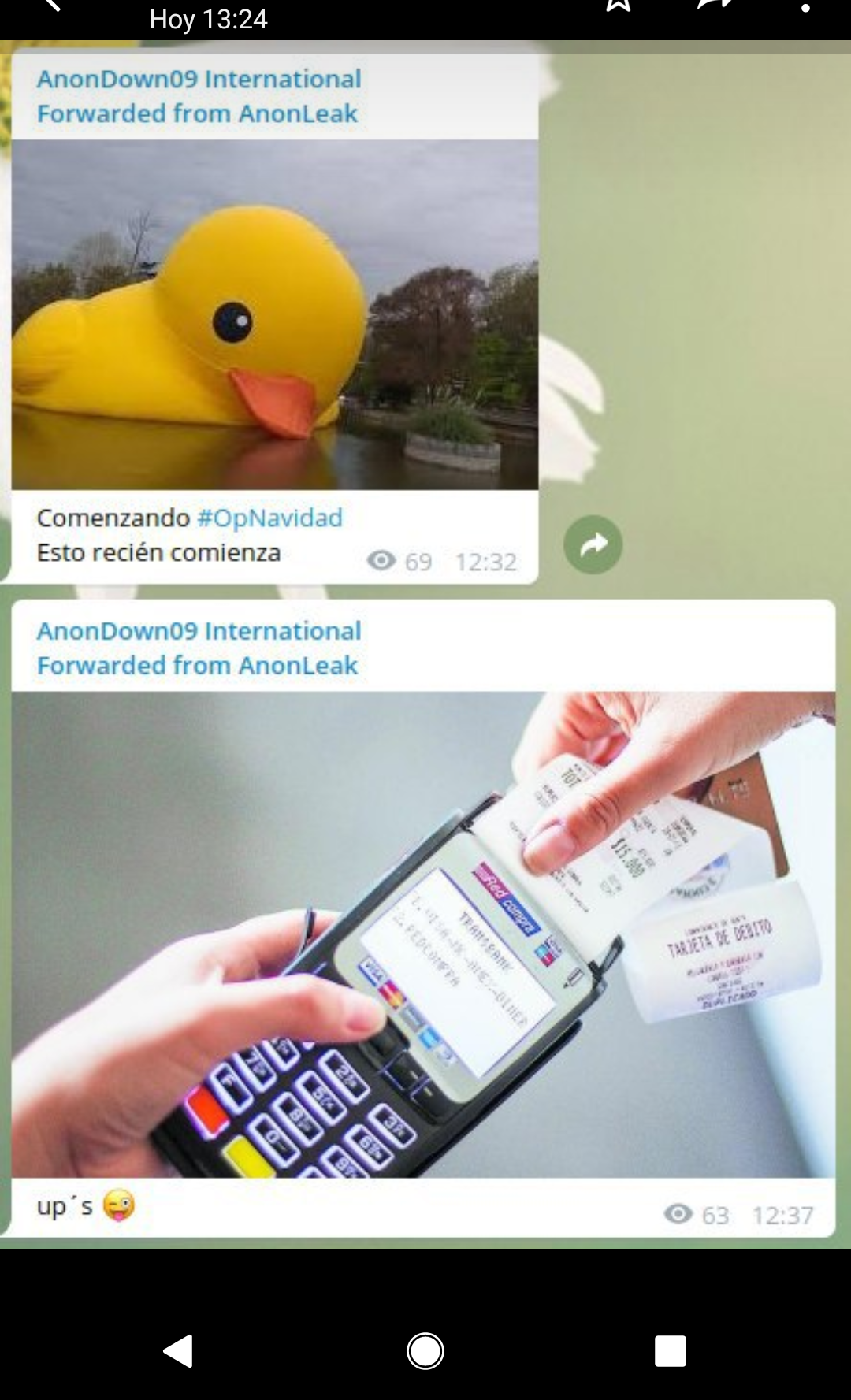 pencas.png