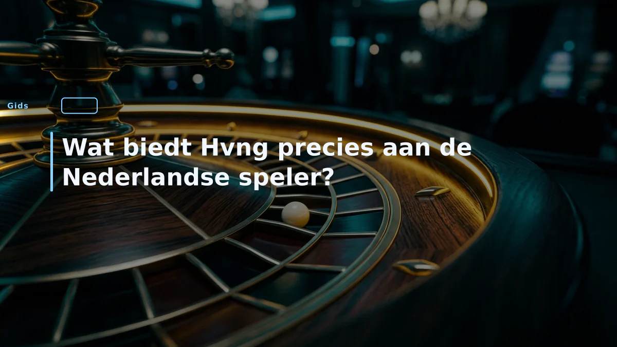 Wat biedt Hvng precies aan de Nederlandse speler?
