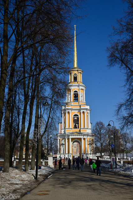 DSC8612.jpg