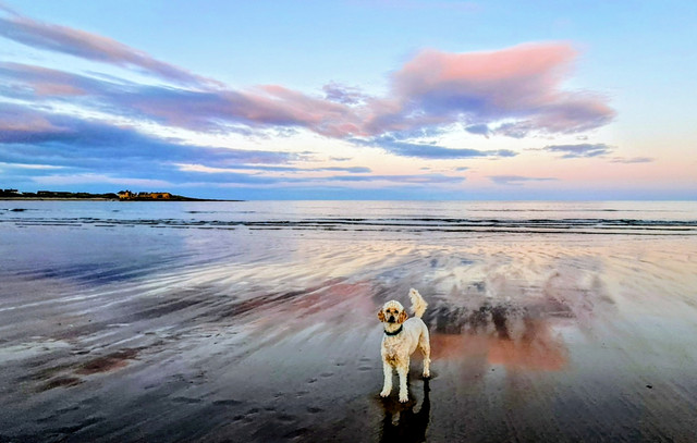 Beadnell