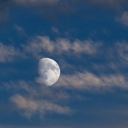 IPB Image