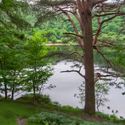 IMGP3621