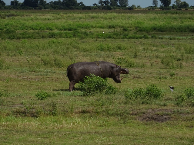DSC07397