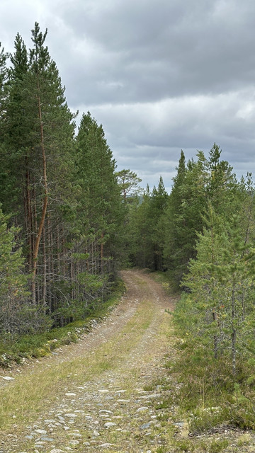 IMG 5750.jpg
