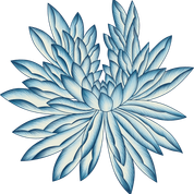 c62d5699d17c7a47a0f573fcf084e2e4