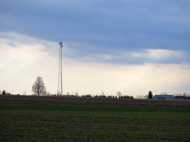 IMG-4440