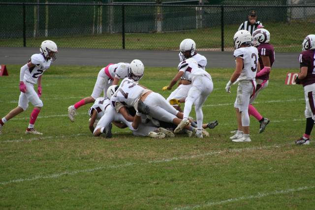 IMG-0679.jpg